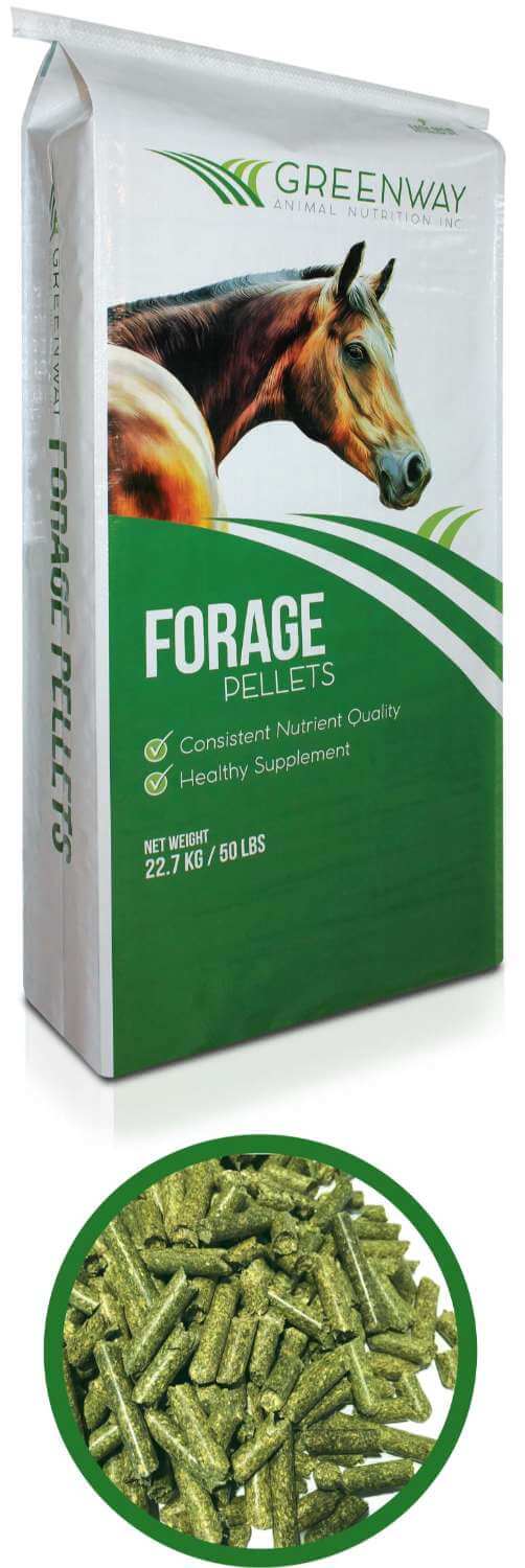 Timothy Forage Pellets
