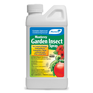 Monterey Garden Incest Spray