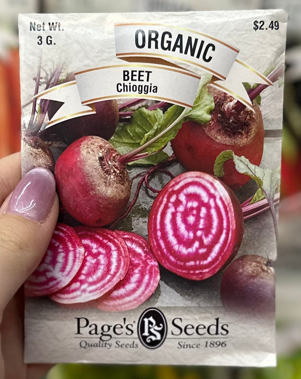 Organic Chioggia Beet Seed