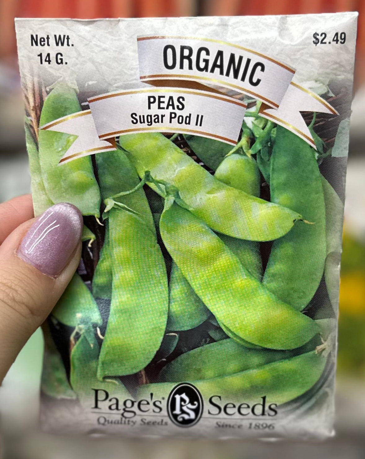 Organic Sugar Pod ll Peas Seed