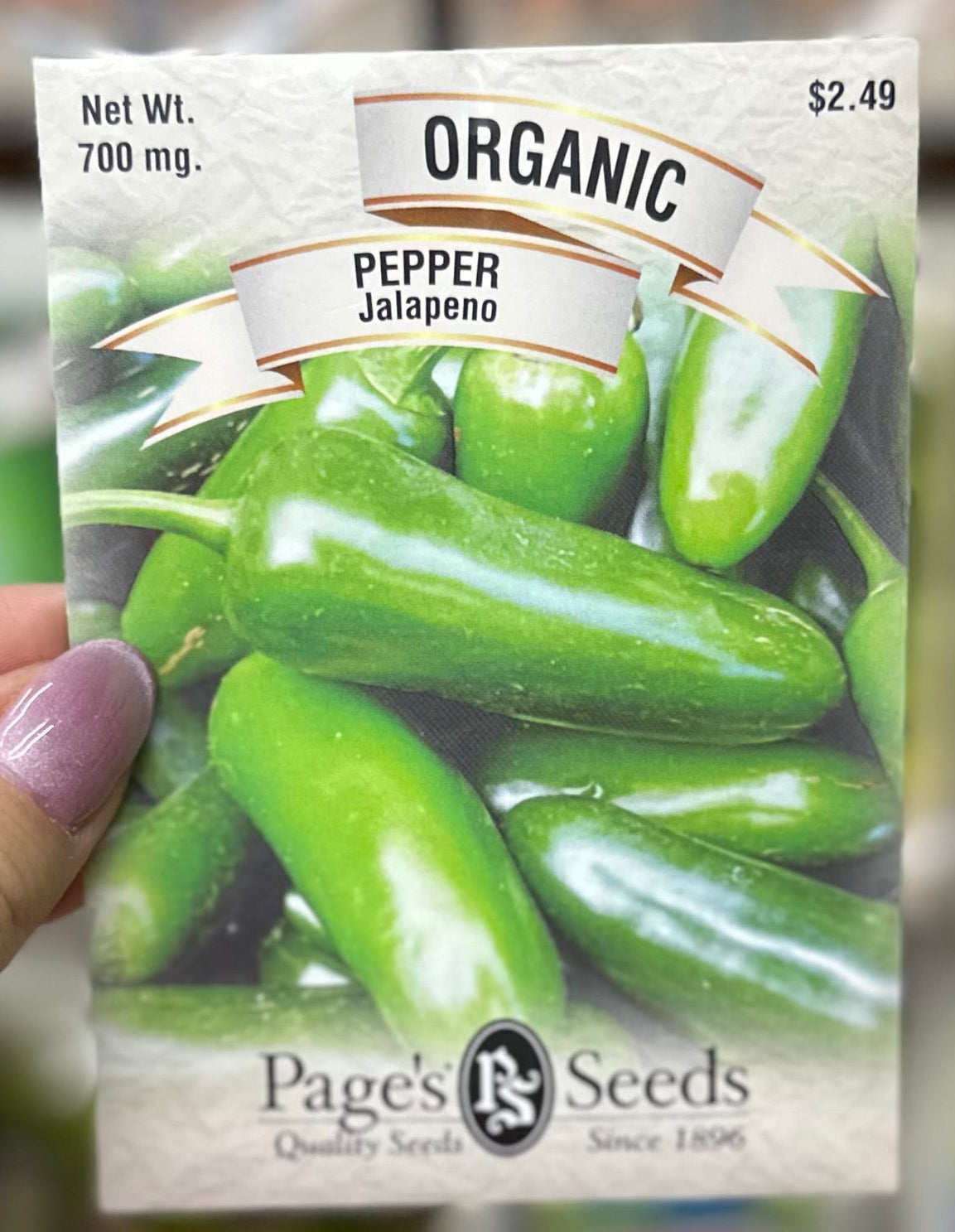 Organic Jalapeño Pepper Seed