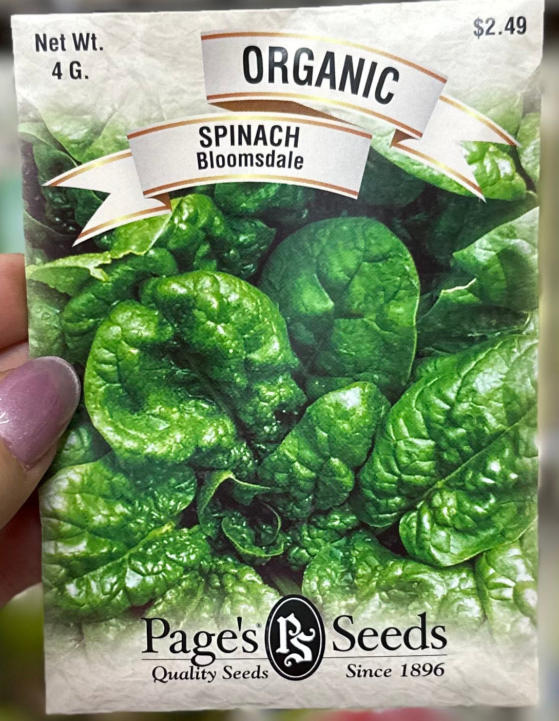 Organic Bloomsdale Spinach Seed