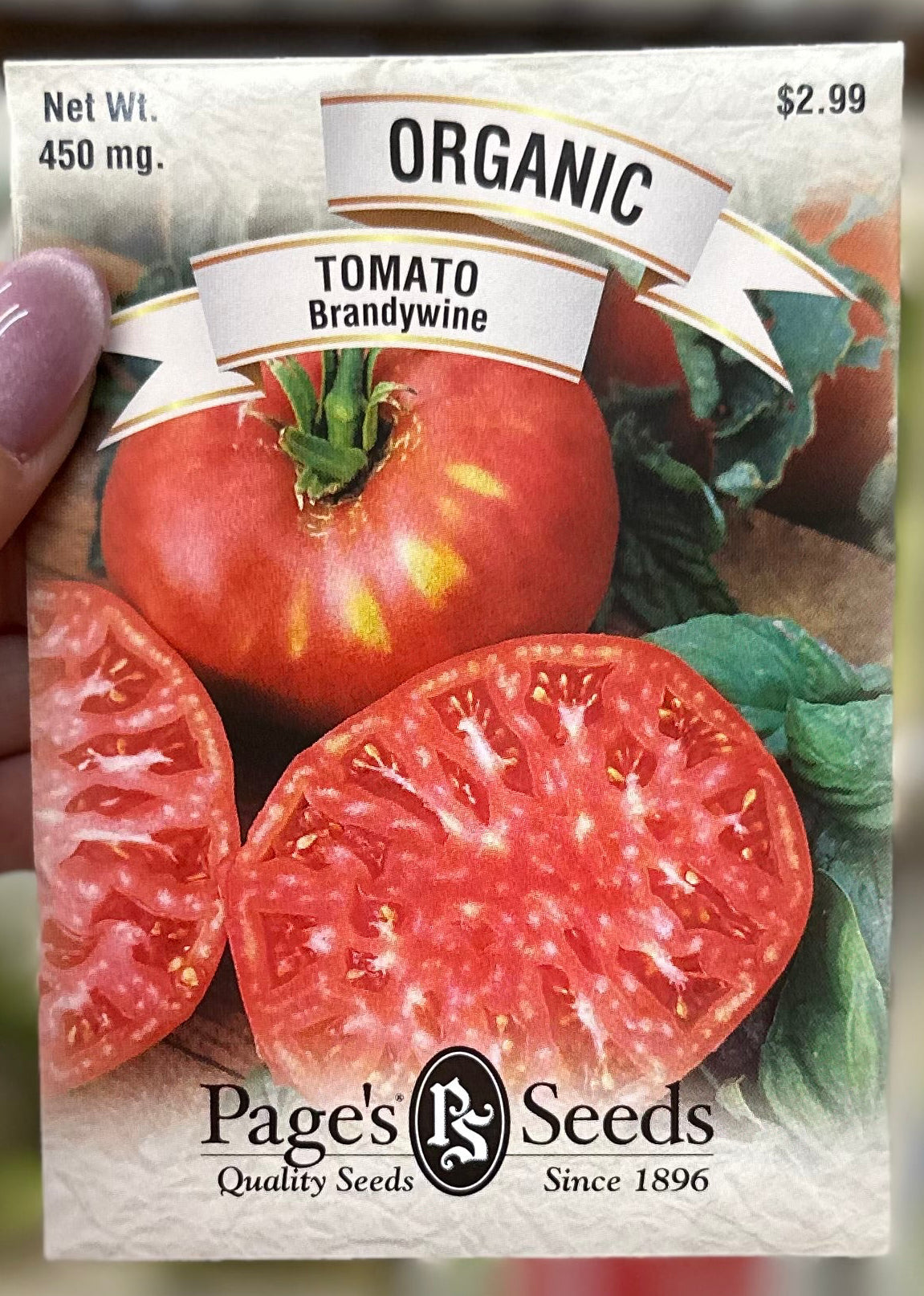 Organic Brandywine Tomato Seed