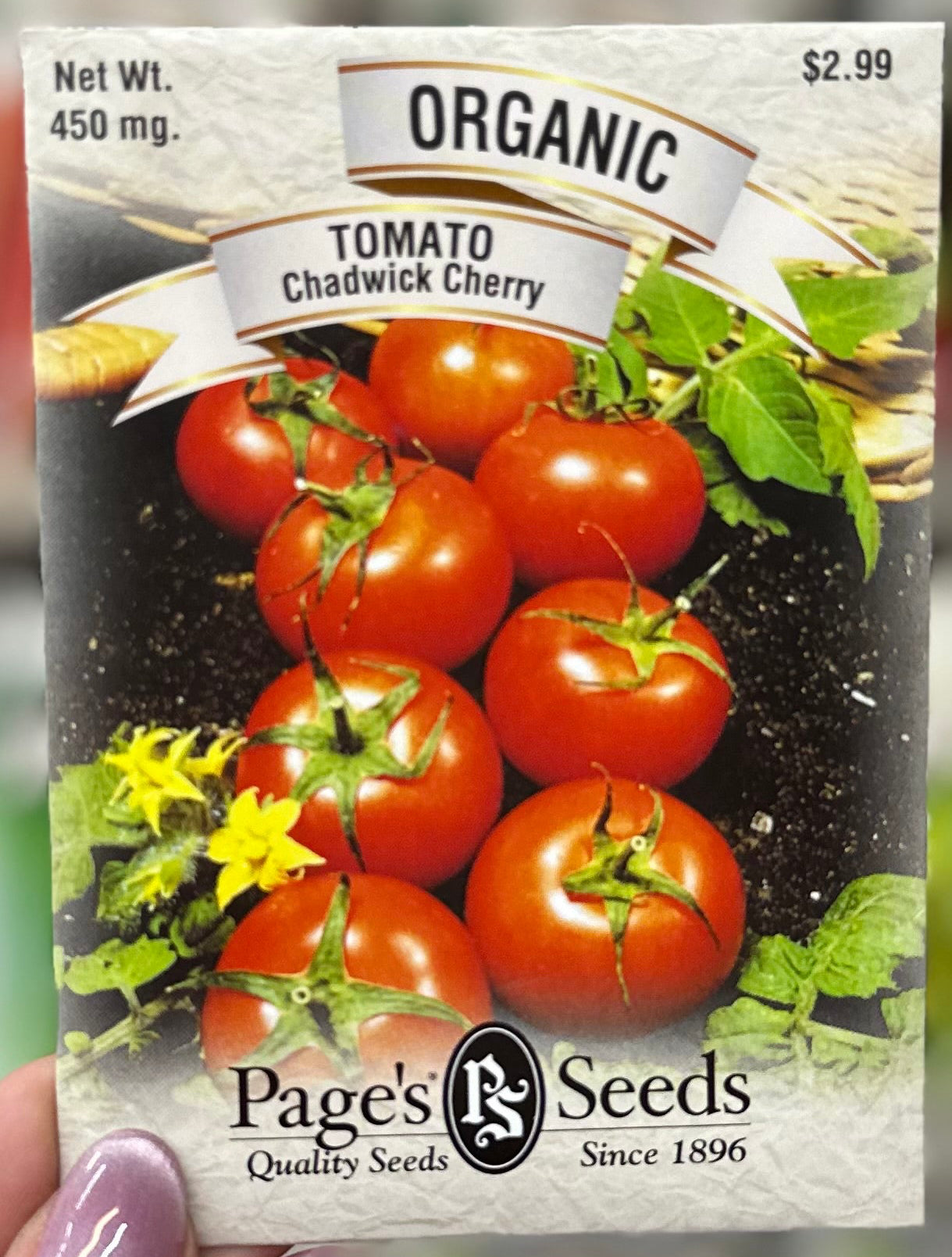 Semilla de tomate cherry Chadwick orgánico