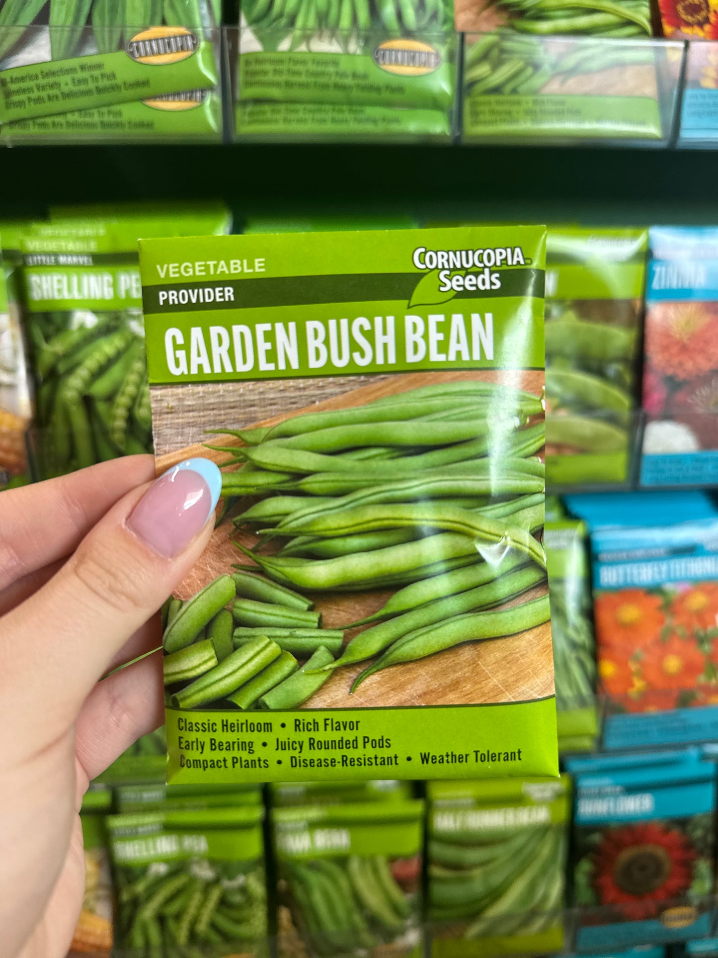 Provider Garden Bush Bean