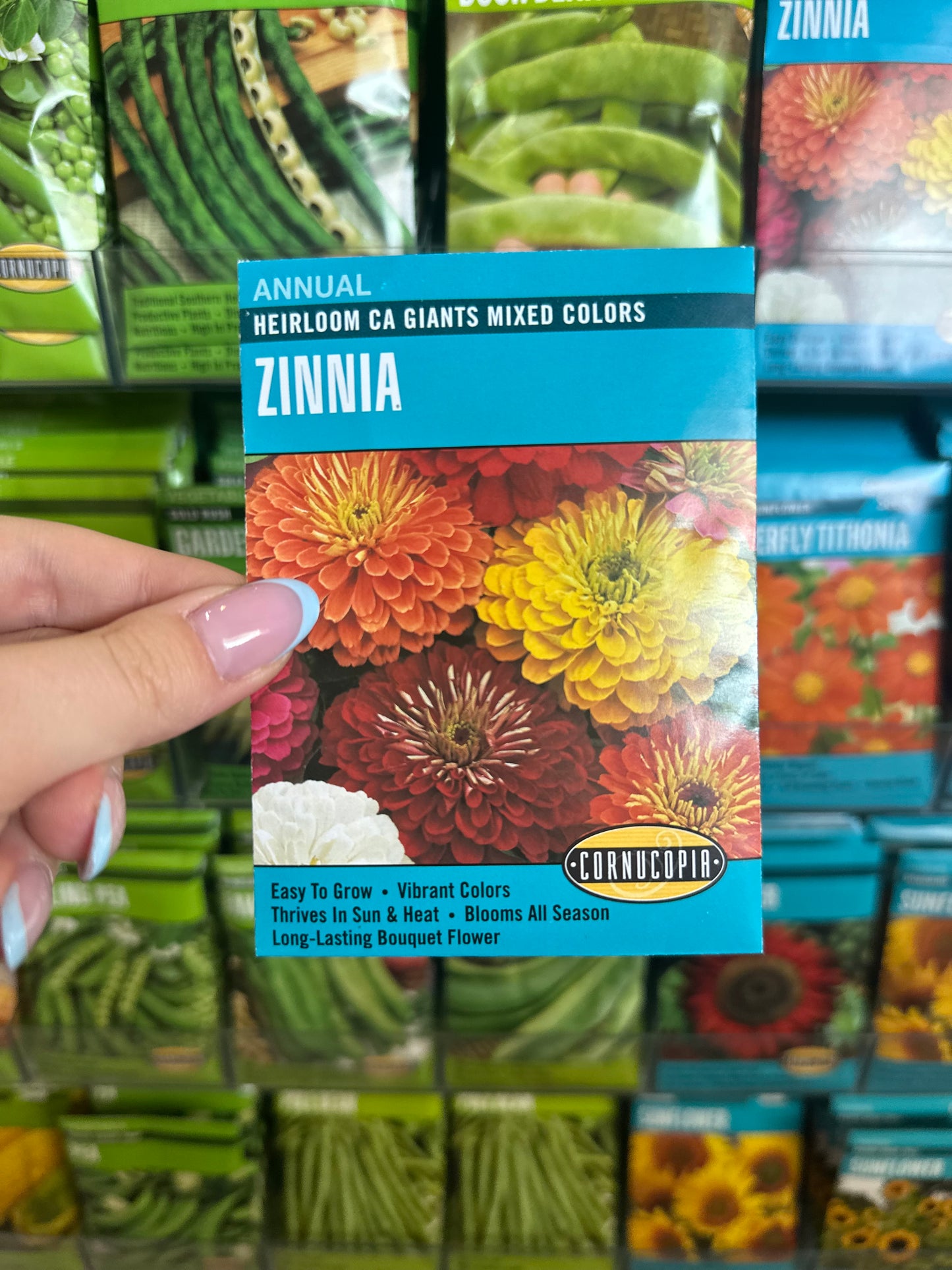 Heirloom CA Giants Mixed Colors Zinnia