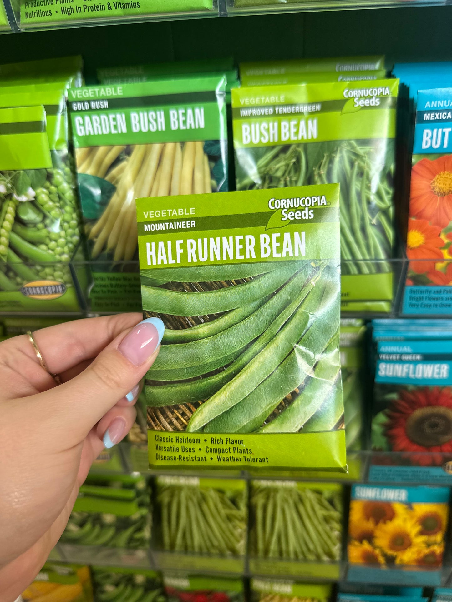Mountaineer Half Runner Bean
