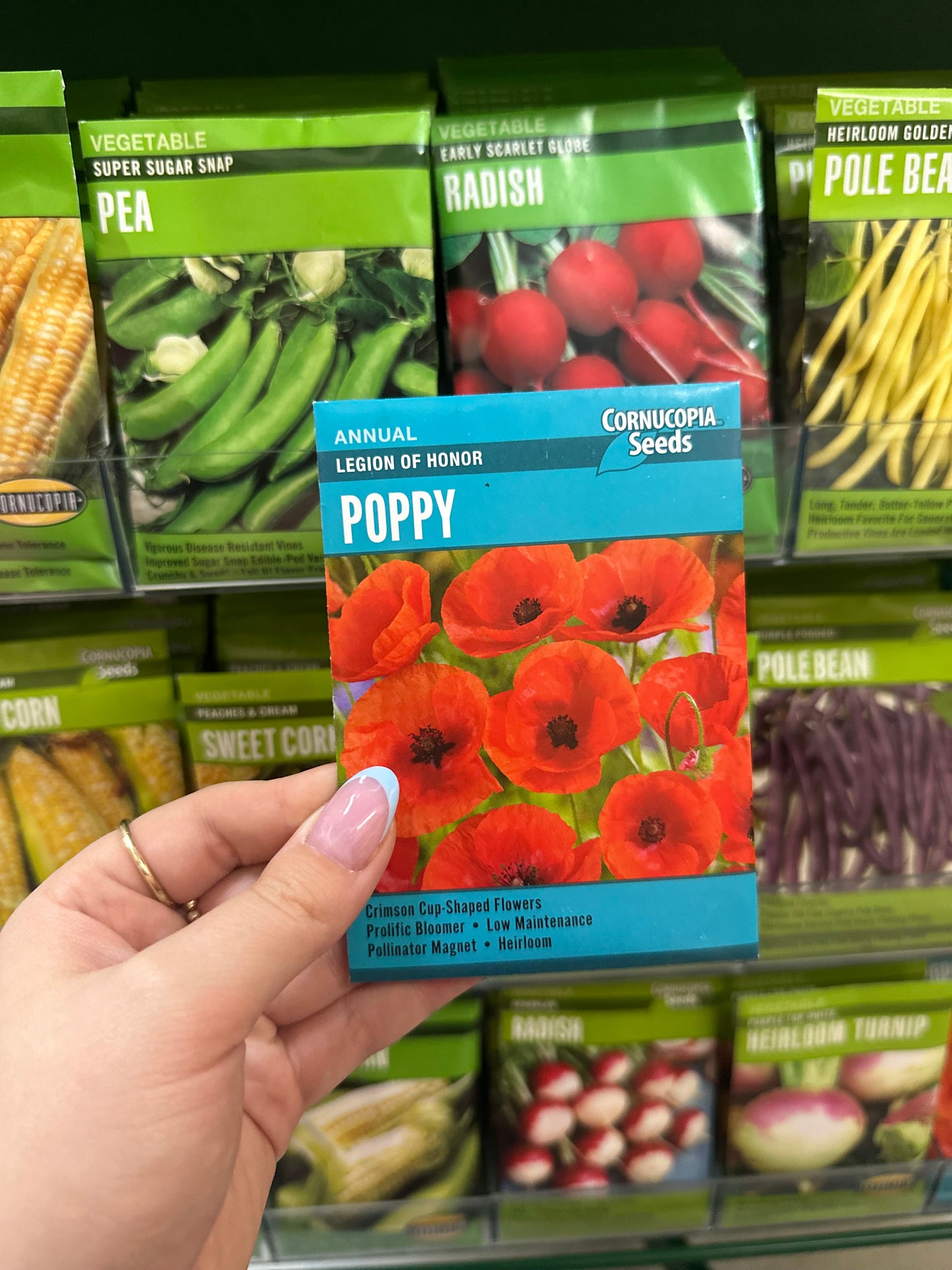 Legion of Honor Poppy