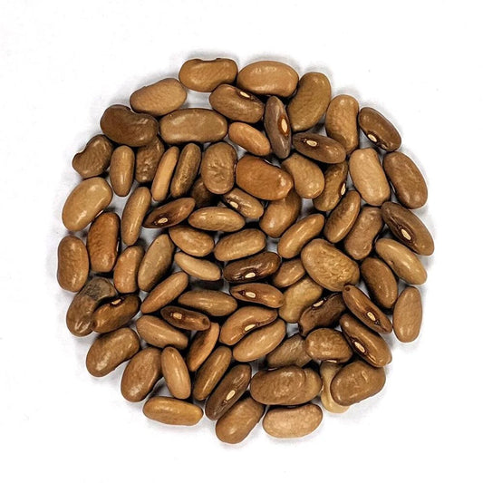 Semillas de frijol de enrame marrón Kentucky Wonder