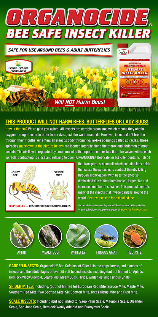 Organocide Bee Safe Insect Killer Concentrate ORGANIC