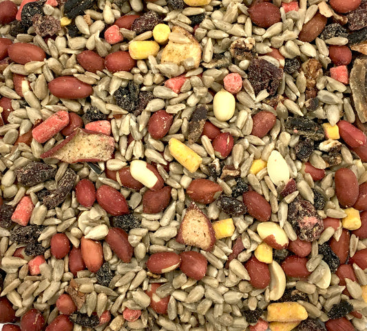 Cole's Nutberrry Suet Blend