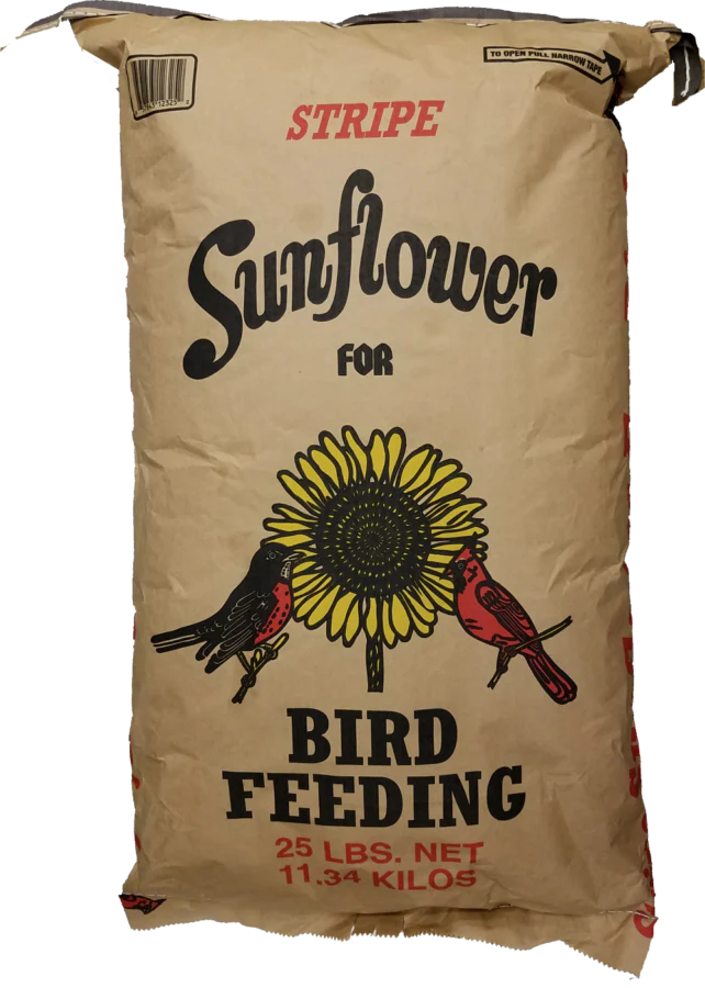 Large Striped Sunflower Seeds