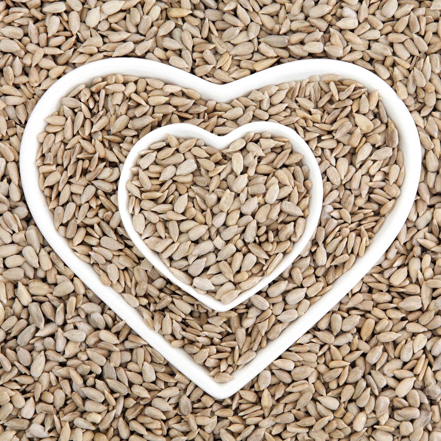 Sunflower Hearts
