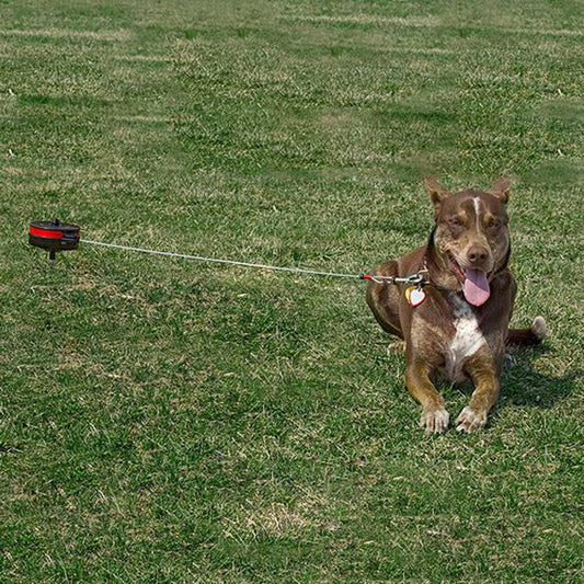 Retractable 15' Cable Tie Out & Stake - Large Dogs