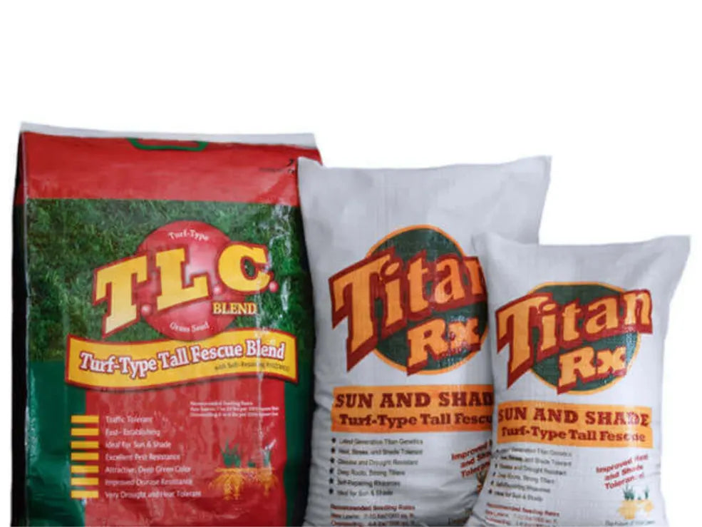 Titan Turf Type Tall Fescue