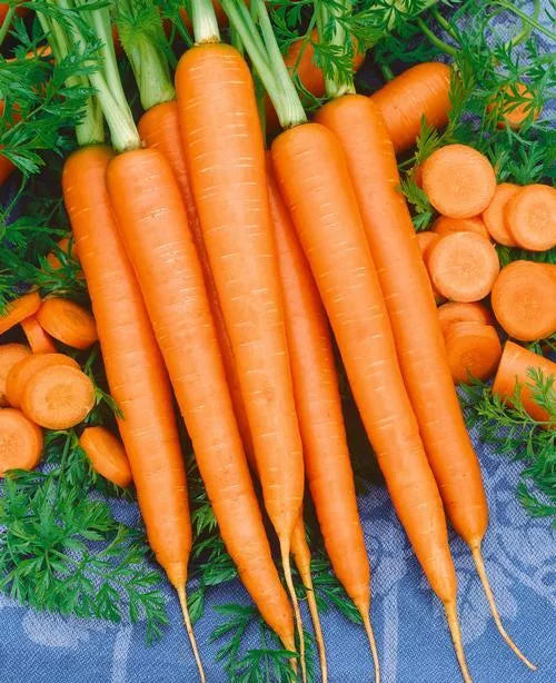 Imperator Carrot Seeds