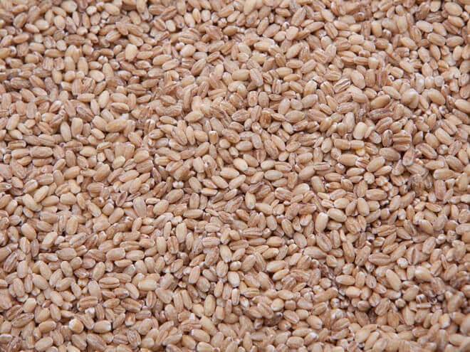 Pearled Barley