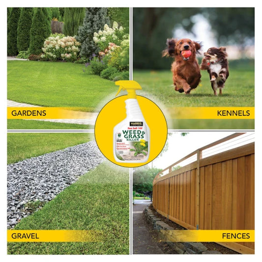 Sea Salt 10X Weed & Grass Killer