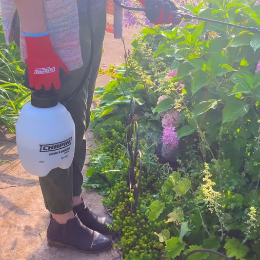 Chapin 1 Gal Home & Garden Hand Pump Sprayer