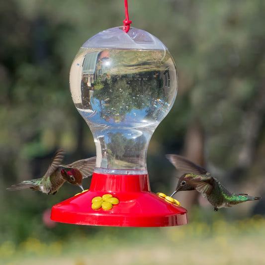 Perky-Pet Plastic Globe Humminbird Feeder