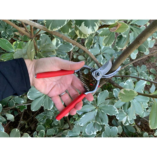 Corona ClassicCUT Branch & Stem Pruner