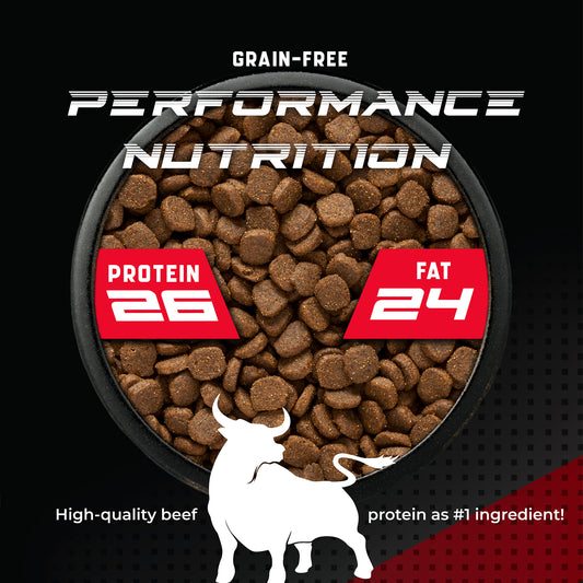 Canine X Beef