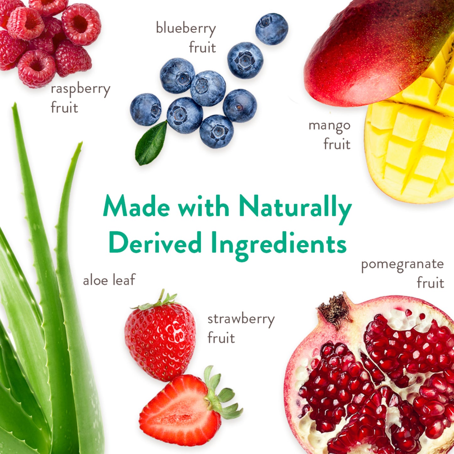 Tropiclean Deep Cleansing Shampoo - Berry & Coconut