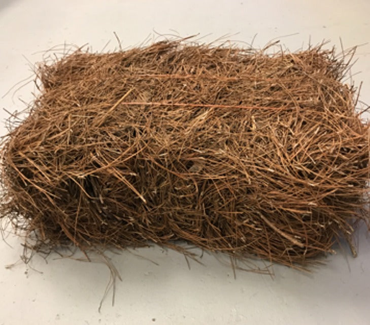 Pine Straw