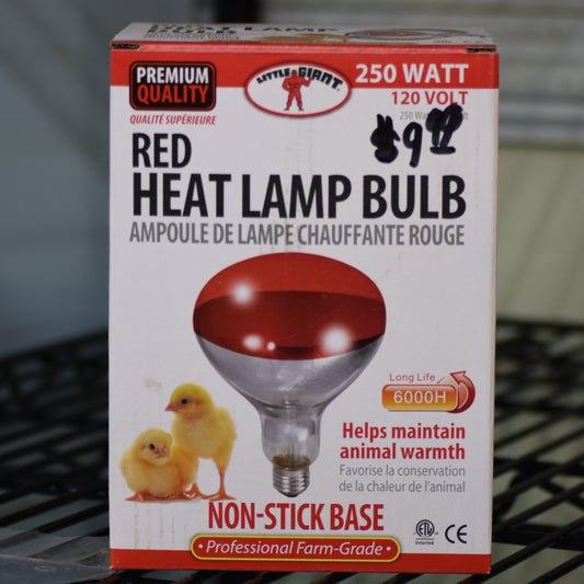 Red Heat Lamp Bulb