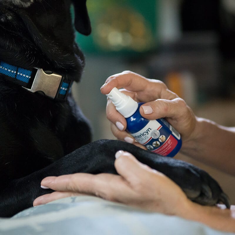 Vetericyn Hot Spot Gel Antimicrobial