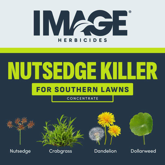 Image Nutsedge Killer
