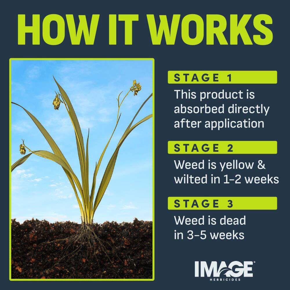 Image Nutsedge Killer