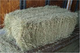 Hay Bale