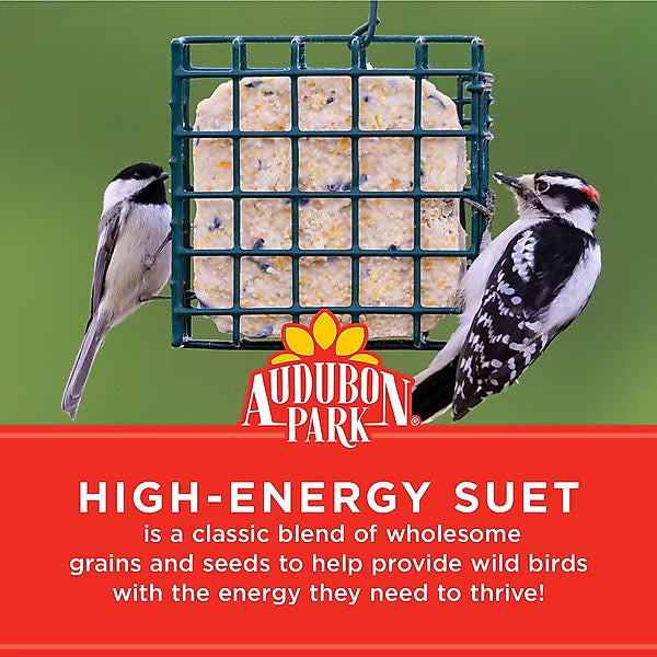 Audubon Park High Energy Suet