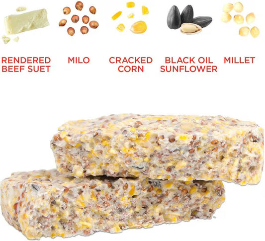 Audubon Park High Energy Suet