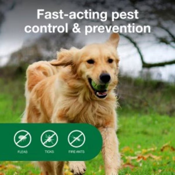 Advantage Yard & Premise Insect Spray