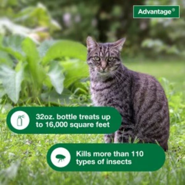Advantage Yard & Premise Insect Spray