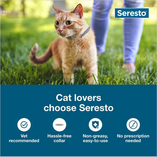 Seresto Cat Flea Collar