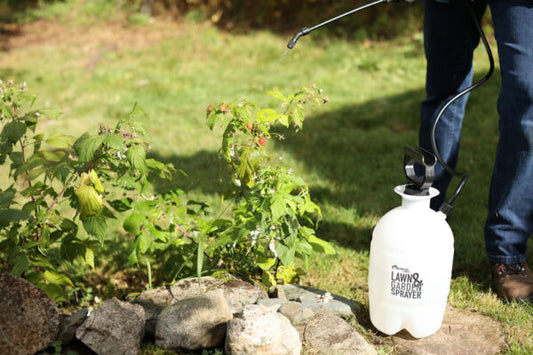 Flo-Master 1 Gal Lawn & Garden Sprayer