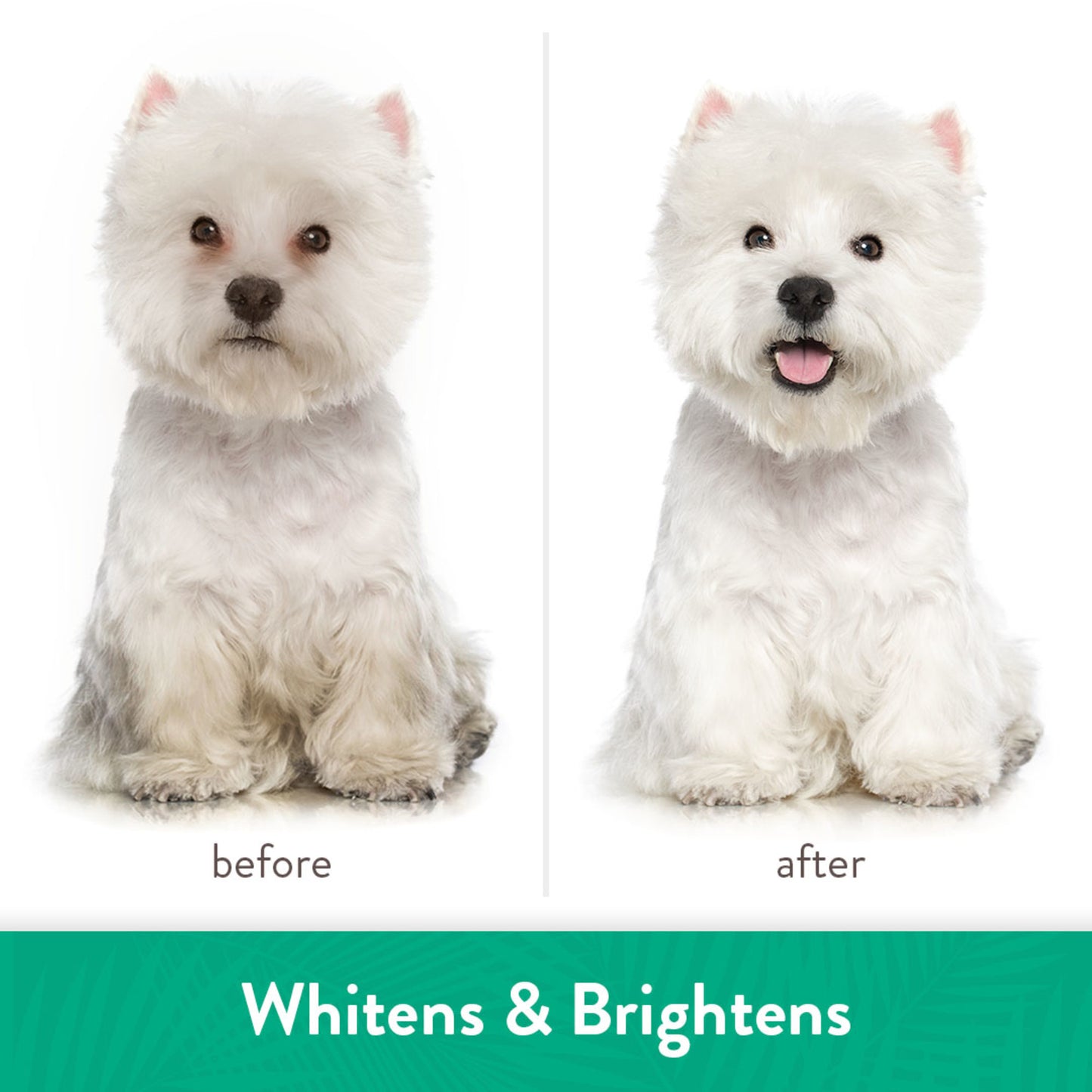 Tropiclean Whitening Shampoo