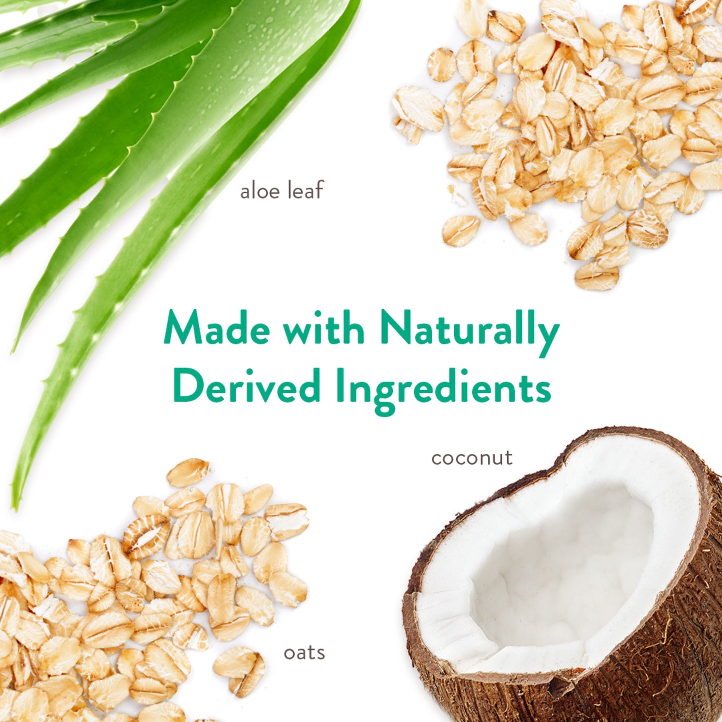 Tropiclean Hypoallergenic Shampoo - Gentle Coconut