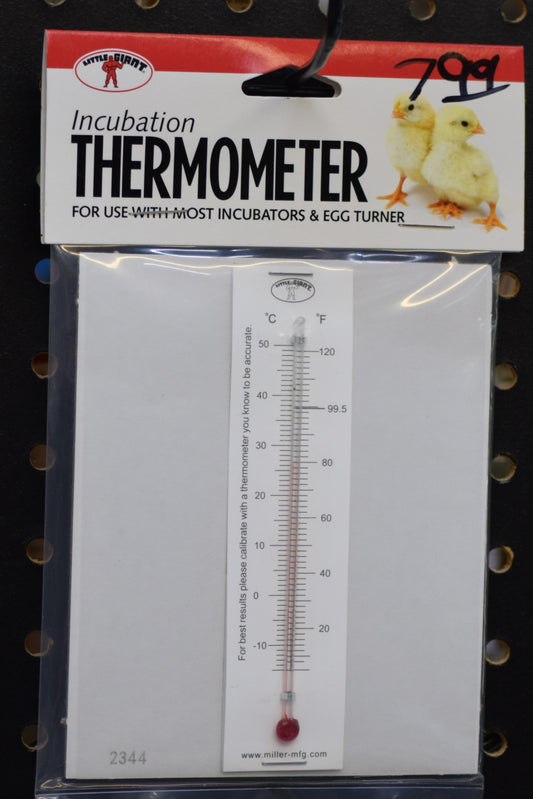 Incubation Thermometer