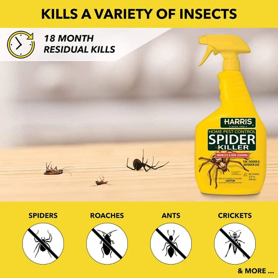 Harris Home Pest Control Spider Killer
