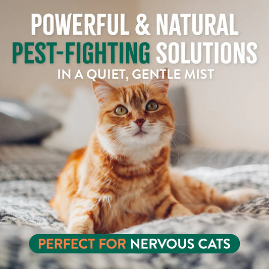 Tropiclean Natural Flea + Tick Gentle Mist for Cats
