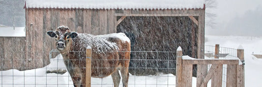 Keeping the Farm Warm This Winter: A Practical Guide for Livestock, Equipment & Farm Families