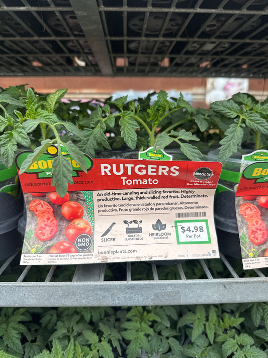 Bonnie Rutgers Tomato