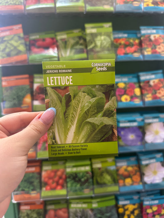 Jericho Romaine Lettuce
