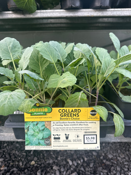 Bonnie Collard Greens 6 Pack
