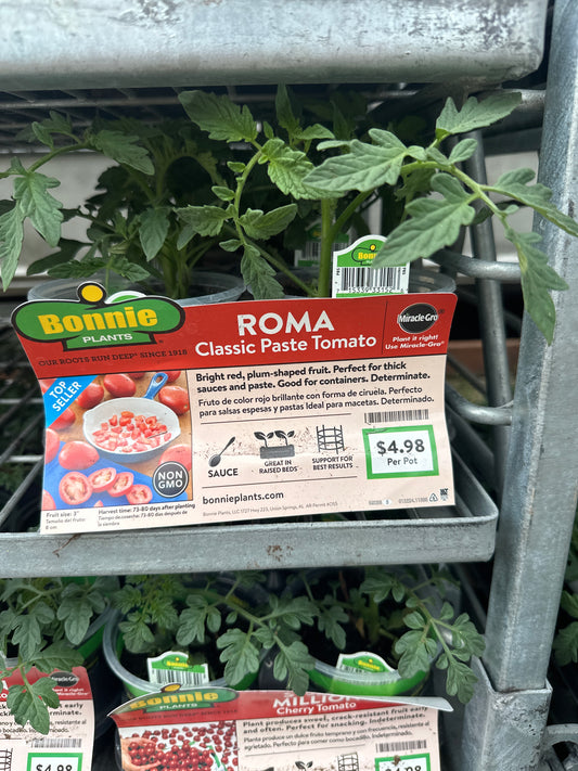 Bonnie Roma Tomato