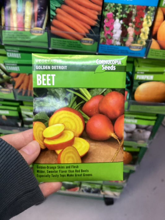 Golden Detroit Beet